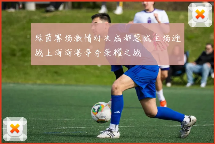 绿茵赛场激情对决成都蓉城主场迎战上海海港争夺荣耀之战